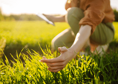 Ministri Abodi-Lollobrigida-Pichetto: record di candidature per il Servizio Civile Agricolo e Ambientale – www.masaf.gov.it