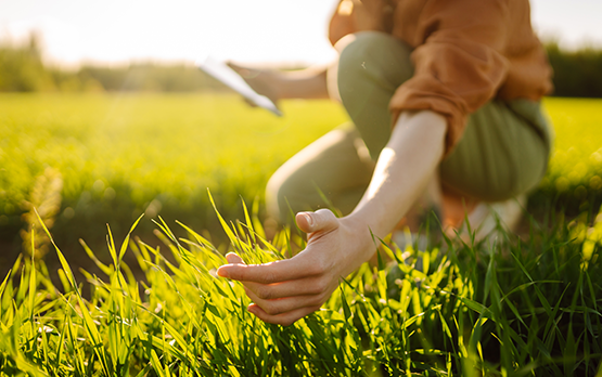 Ministri Abodi-Lollobrigida-Pichetto: record di candidature per il Servizio Civile Agricolo e Ambientale – www.masaf.gov.it