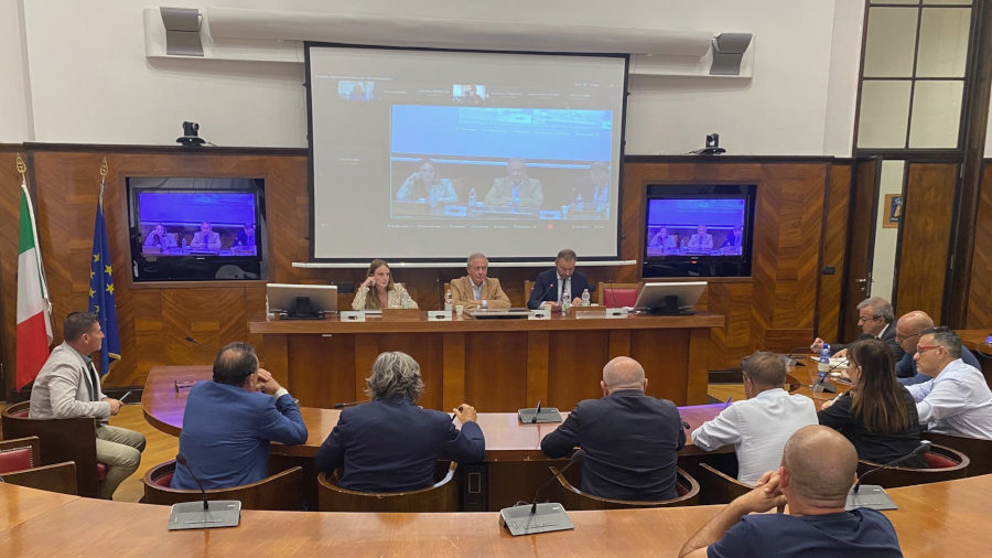 Urso, “Prospettive di rilancio grazie a Dpcm stop carbone. Auspichiamo rapida soluzione su congelamento asset” – www.mimit.gov.it
