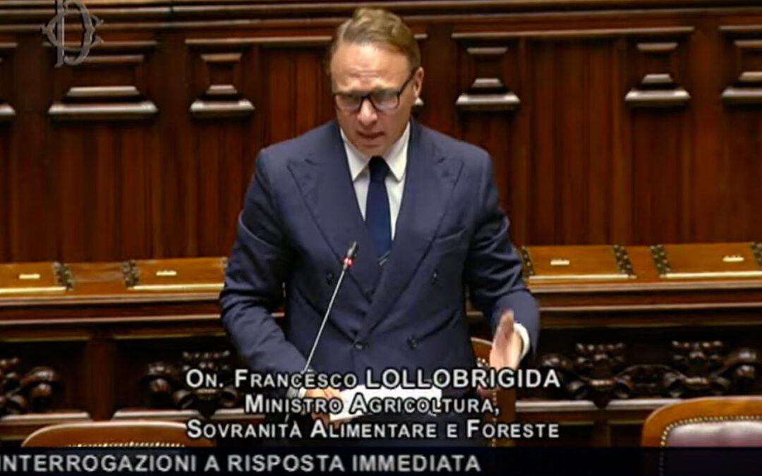 Question Time del Ministro Lollobrigida alla Camera – www.masaf.gov.it
