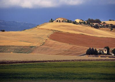 Approvato intervento da 3,5 milioni per lo sviluppo delle zone rurali
– www.toscana-notizie.it