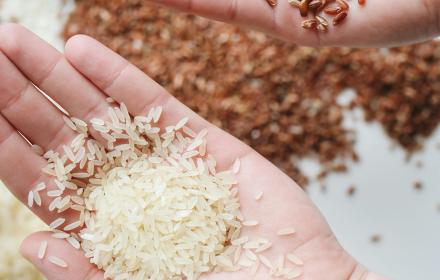 Celiachia, al via piattaforma digitale per i buoni di acquisto degli alimenti