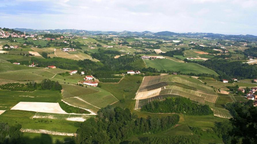 8 milioni per tutelare la biodiversità e valorizzare gli ecosistemi naturali
 – www.regione.piemonte.it