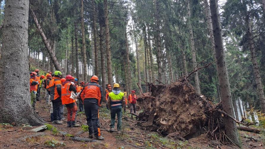 A “Sicuramente in Bosco” la prevenzione degli incidenti nel settore forestale
 – www.regione.piemonte.it