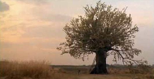 News ed Eventi – www.regione.marche.it