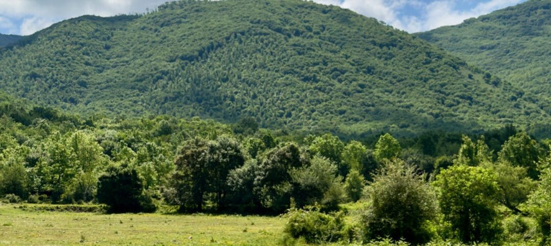 Nasce Olifest!, 1° Festival dell’Olio Aurunco –VisitLazio – www.visitlazio.com