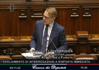 Question Time del Ministro Lollobrigida alla Camera – www.masaf.gov.it