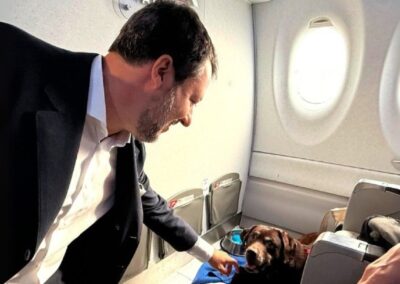 Trasporto aereo: ok ai pet in cabina fino a 30kg – www.mit.gov.it