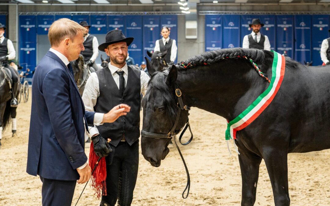 Fieracavalli. Celebrati i 100 anni del cavallo murgese. Lollobrigida: emblema della tradizione e del patrimonio equestre nazionale – www.masaf.gov.it