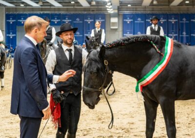 Fieracavalli. Celebrati i 100 anni del cavallo murgese. Lollobrigida: emblema della tradizione e del patrimonio equestre nazionale – www.masaf.gov.it