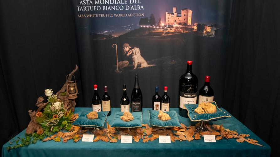 Dall’Asta mondiale del Tartufo 500.000 euro per la solidarietà 
 – www.regione.piemonte.it