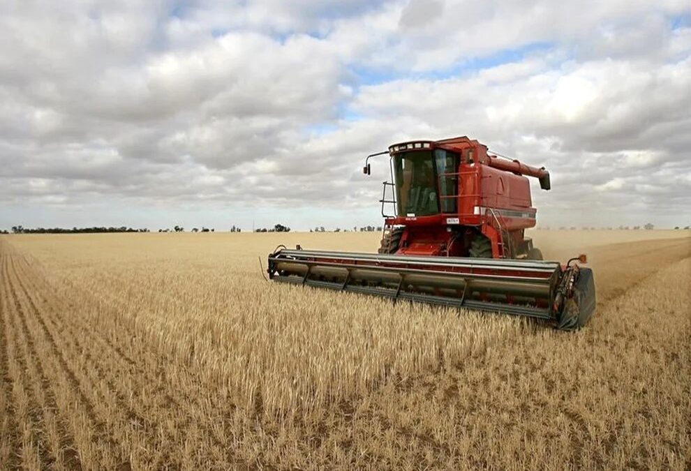 Bilancio di chiusura per il PSR 2014-2022. Speso il 99,7% delle risorse, Meloni: “Risultato che pone l’Umbria ai primi posti in Italia per capacità di gestione e spesa. Riconoscimento del grande lavoro fatto” – www.regione.umbria.it