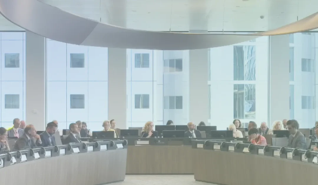 EMA Management Board: highlights of December 2025 meeting – www.ema.europa.eu