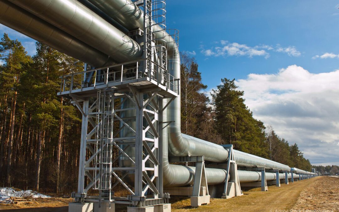 Stop alle importazioni di gas russo nell’UE | Attualità – www.europarl.europa.eu