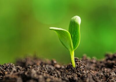 Agricoltura. Lollobrigida: "Accordo NGT passo avanti, Italia avanguardia del settore" – www.masaf.gov.it