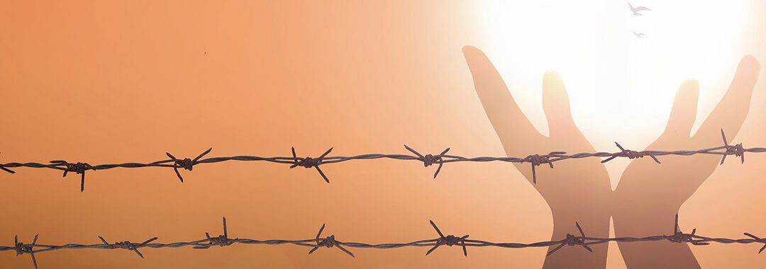 Programma INCLUSI: avviso pubblico per l’housing abitativo						 – www.sardegnaewelfare.it