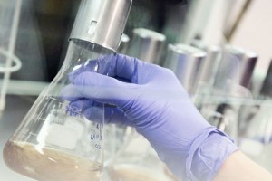 L’Emilia-Romagna entra nella Critical Chemicals Alliance europea – imprese.regione.emilia-romagna.it