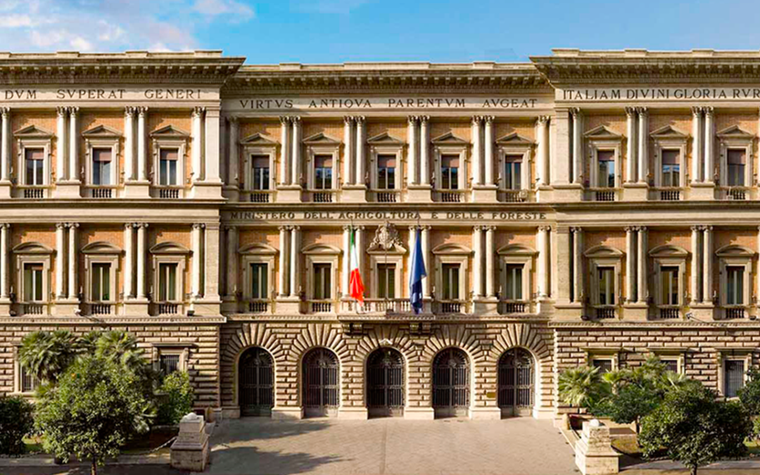 Export: raggiunto accordo con la Serbia, riparte l'esportazione di carne suina italiana – www.masaf.gov.it