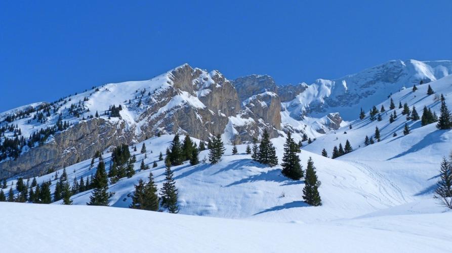 Il Piemonte Regione guida della strategia nazionale per la montagna
 – www.regione.piemonte.it