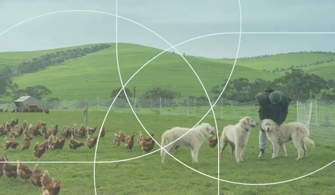 Veterinary medicines in 2025 | European Medicines Agency (EMA) – www.ema.europa.eu