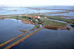 Progetto Value Plus, al via il confronto per il Distretto del Delta del Po – imprese.regione.emilia-romagna.it