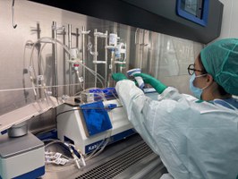 L’Emilia-Romagna si conferma regione benchmark per il sistema sanitario nazionale – salute.regione.emilia-romagna.it