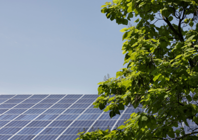 PNRR, Lollobrigida: 800 milioni di euro in più per il bando Agrisolare – www.masaf.gov.it