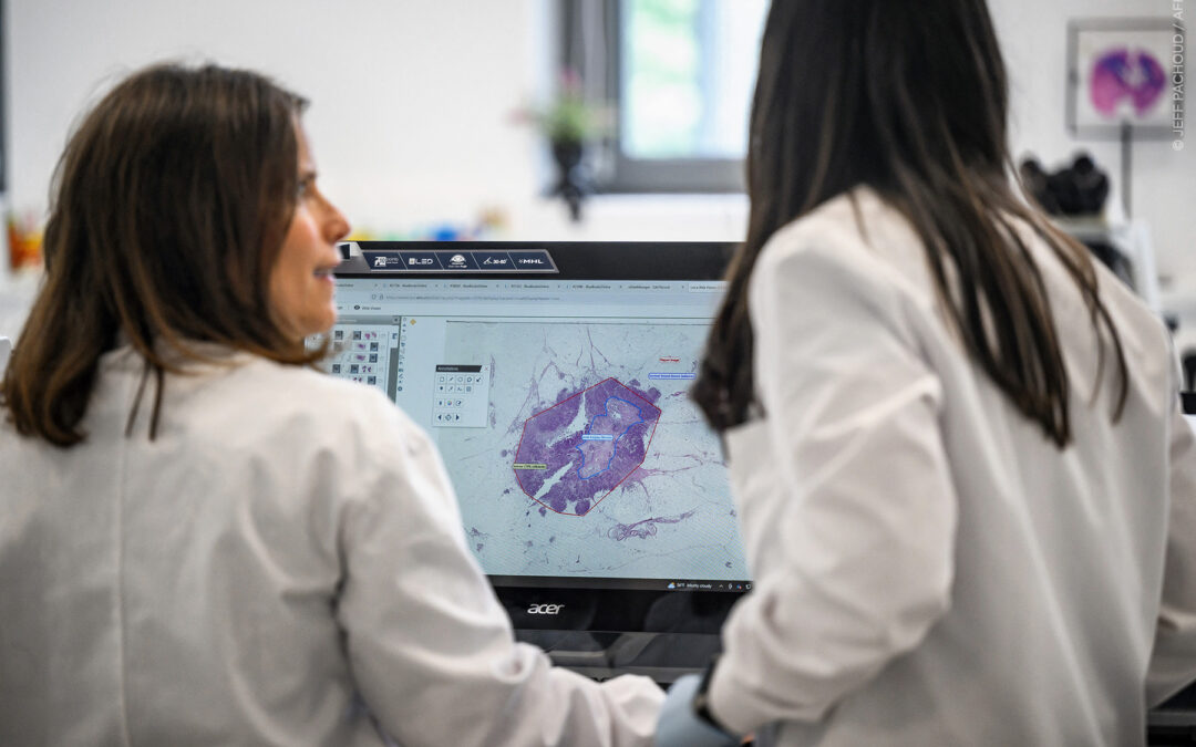 Lotta contro il cancro: il Parlamento chiede un programma sanitario UE dedicato | Attualità – www.europarl.europa.eu