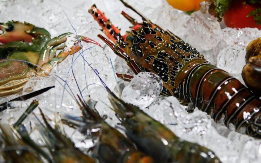 Avviso Conxemar Vigo – Adesione Operatori – www.lazioeuropa.it