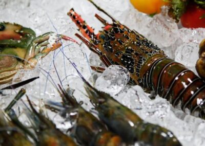 Avviso Conxemar Vigo – Adesione Operatori – www.lazioeuropa.it