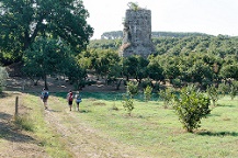 Consiglio Regionale del Lazio – Commissioni – IV Commissione – Bilancio, programmazione economico-finanziaria, partecipazioni regionali, federalismo fiscale, demanio e patrimonio – Notizie – www.consiglio.regione.lazio.it