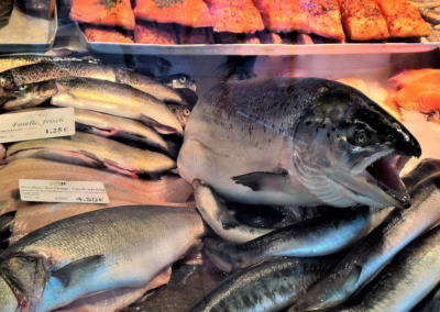 Avviso Seafood Expo Global 2026 Barcellona – Adesione Operatori – www.lazioeuropa.it