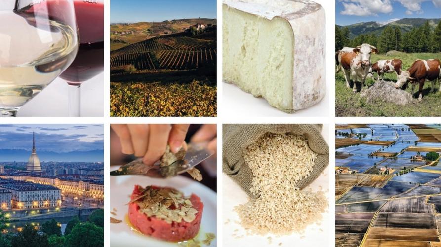 Recuperati 58 milioni per lo sviluppo dell’agricoltura piemontese 
 – www.regione.piemonte.it