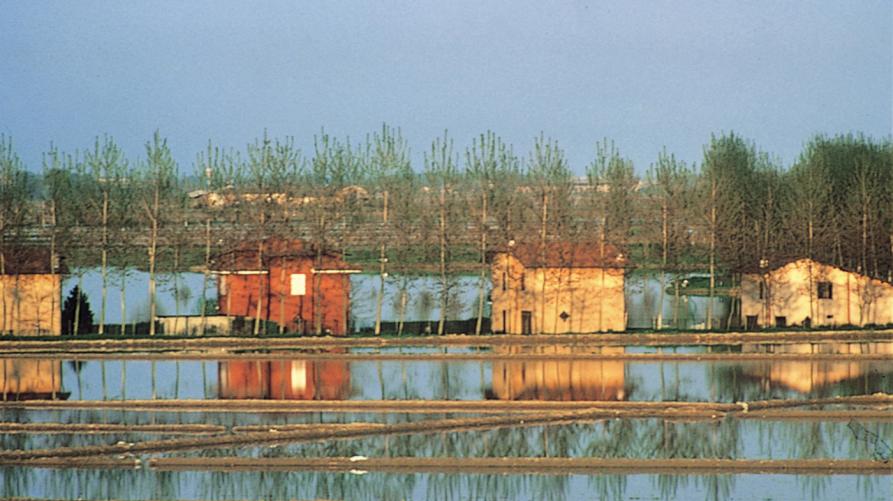 Il primo contratto di zona umida della pianura risicola vercellese
 – www.regione.piemonte.it