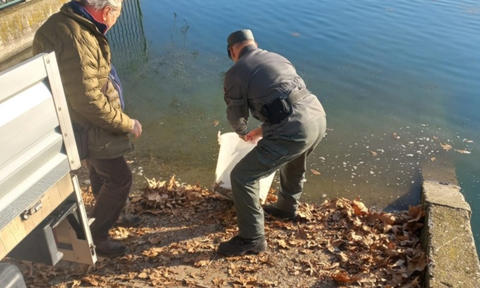 Vigilanza ittico-venatoria, la Giunta regionale approva la convenzione. Assessora Meloni: “Rafforziamo controlli, presidio del territorio e gestione faunistica” – www.regione.umbria.it