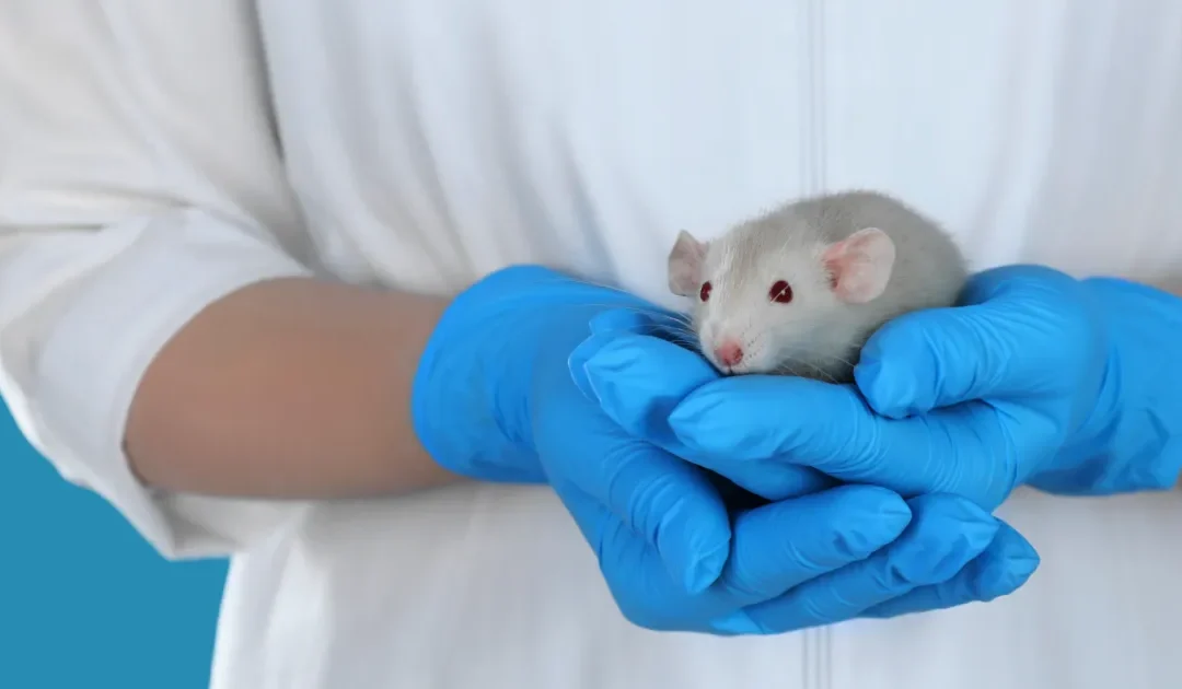 EMA consults on virtual control groups to help reduce animal use in medicines development – www.ema.europa.eu