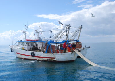 Fondi europei, pesca e acquacoltura, bandi per 4,5 milioni nel 2026 
                         – www.toscana-notizie.it