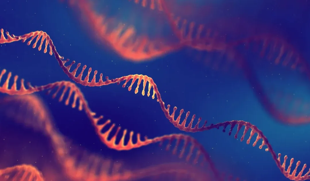 New PRIME tools to accelerate development of medicines in the EU – www.ema.europa.eu