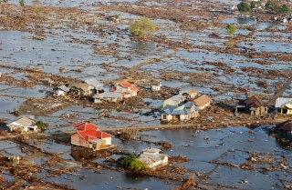 Consiglio Regionale del Lazio – Commissioni – VIII Commissione – Agricoltura, ambiente – Notizie – www.consiglio.regione.lazio.it