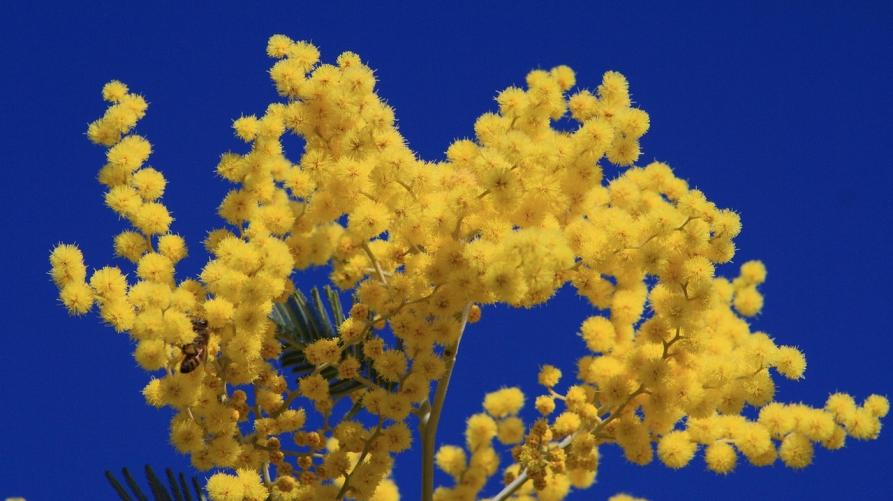 Otto Marzo: più donne al lavoro
 – www.regione.piemonte.it