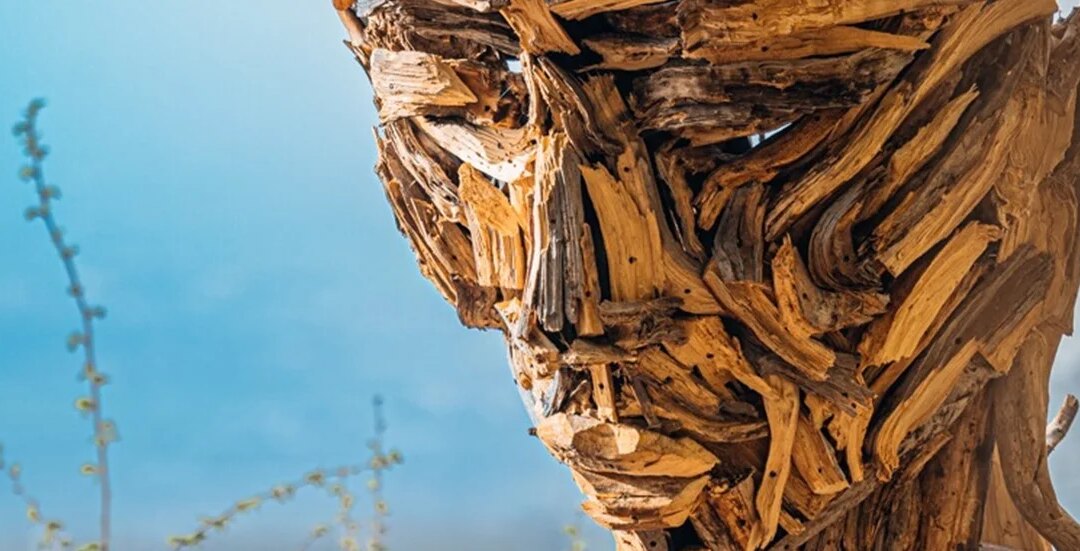 Il Museo Diffuso del Bosco a Rocca di Papa –VisitLazio – www.visitlazio.com