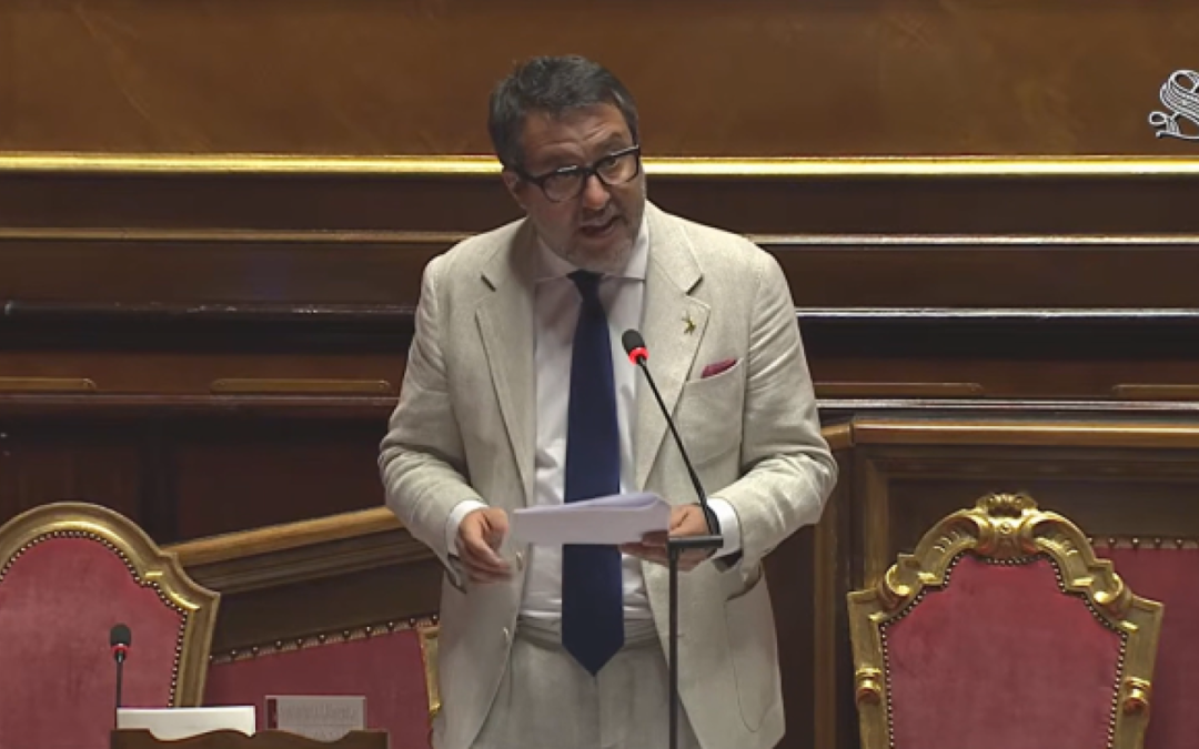 Senato della Repubblica: il Ministro Salvini al Question Time – www.mit.gov.it