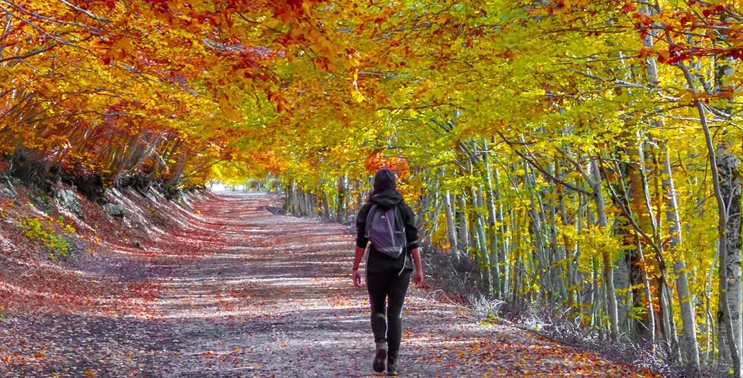 Parco Castelli Romani lancia Storie in Cammino –VisitLazio – www.visitlazio.com