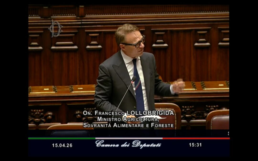 Question Time del Ministro Lollobrigida alla Camera – www.masaf.gov.it