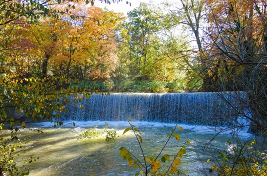 Rete natura 2000, dotazione finanziaria complessiva di 8 milioni di euro per la conservazione degli habitat e delle specie protette. Assessore Meloni: “Risorse significative e strategie innovative per un futuro sostenibile del nostro territorio” – www.regione.umbria.it