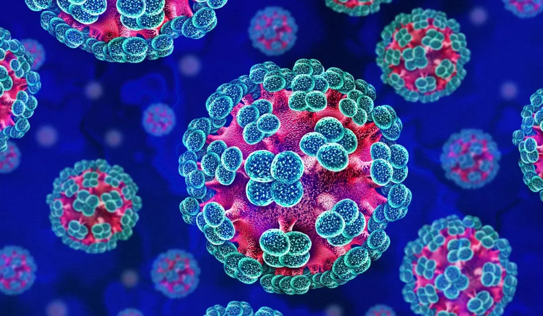 EMA actively monitoring cruise ship Hantavirus outbreak – www.ema.europa.eu