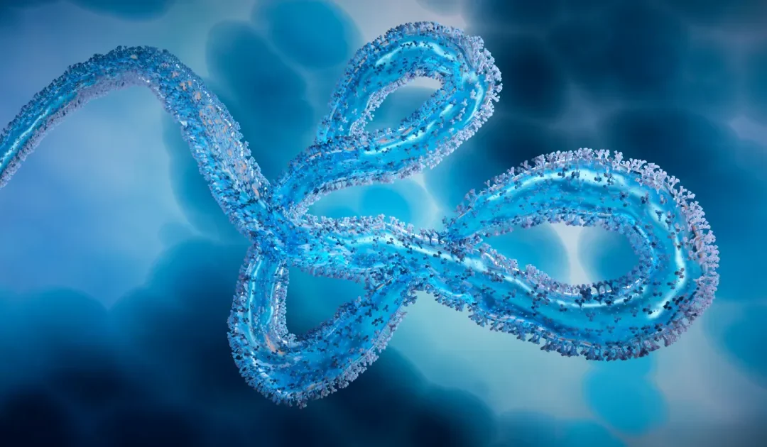 EMA, AMA and African regulatory authorities join forces on Ebola outbreak response – www.ema.europa.eu
