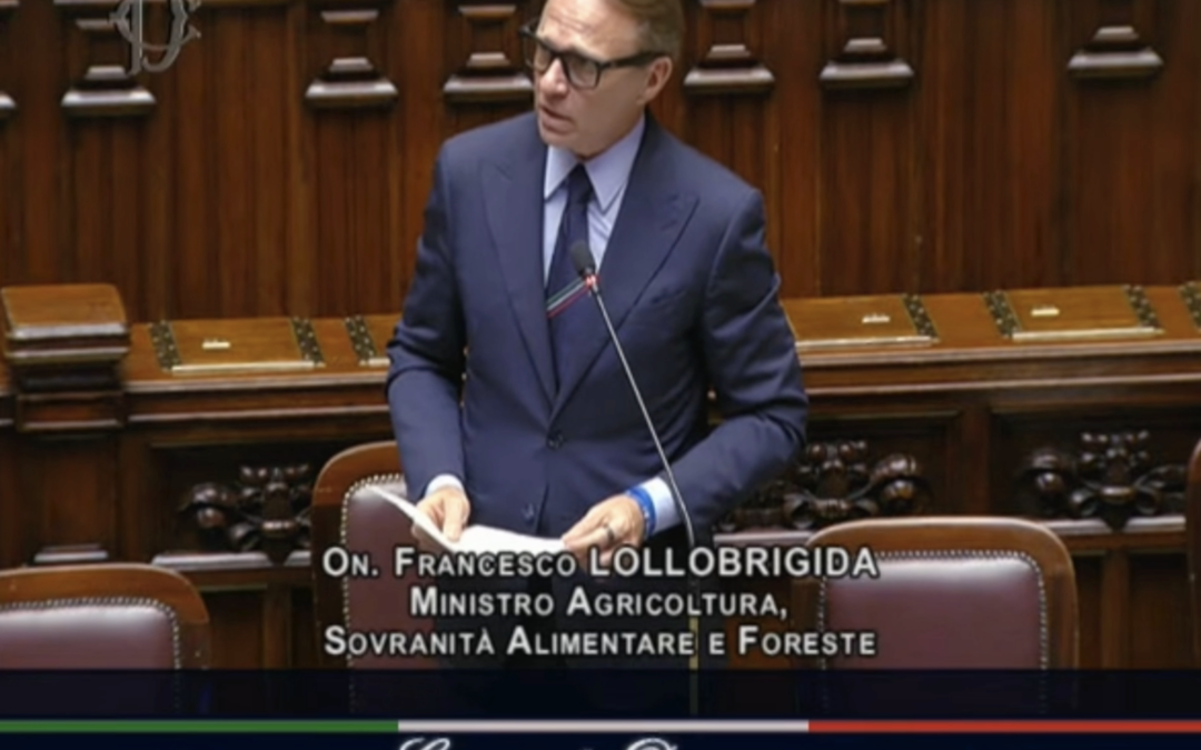Question Time del Ministro Lollobrigida alla Camera – www.masaf.gov.it