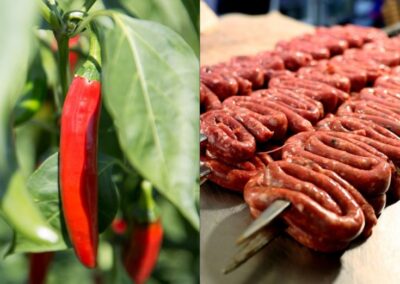 Peperoncino di Calabria e Zampina di Sammichele di Bari nel registro Ue. Lollobrigida: Le IG sono la via maestra per valorizzare il Sud e le nostre eccellenze – www.masaf.gov.it