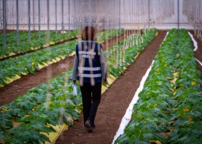 40 anni ICQRF. Lollobrigida: "Traguardo straordinario. Impegno incessante Stato a tutela qualità, trasparenza e legalità sistema agroalimentare" – www.masaf.gov.it